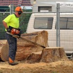 richardpennicuiktree