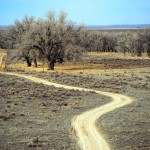 sand-creek-massacre-122912pt_03-L