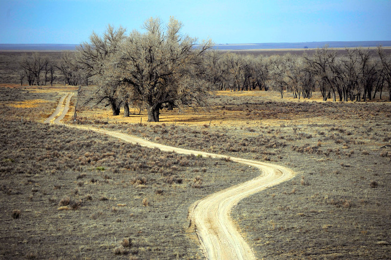 sand-creek-massacre-122912pt_03-L