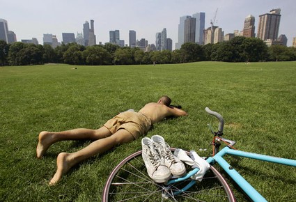 FE_DA_0204_nap425x290