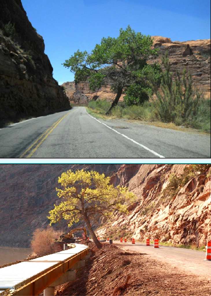 elevatedbikeway-before&after