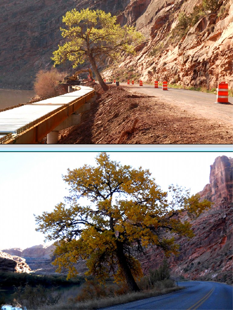 elevatedbikeway-before&after2