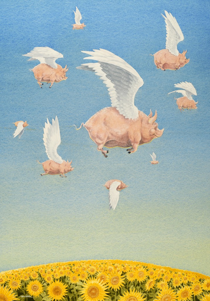 Anything Is Possible