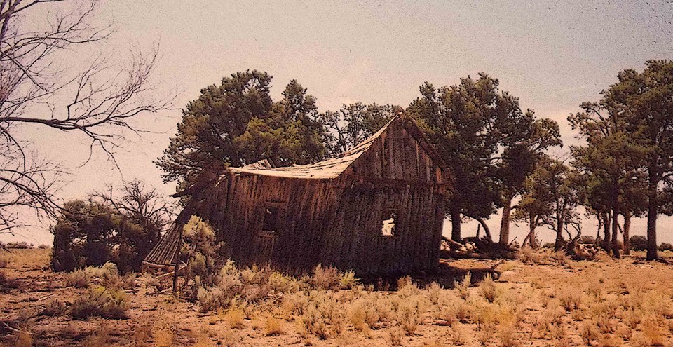 11197_655957517762279_572869991_n