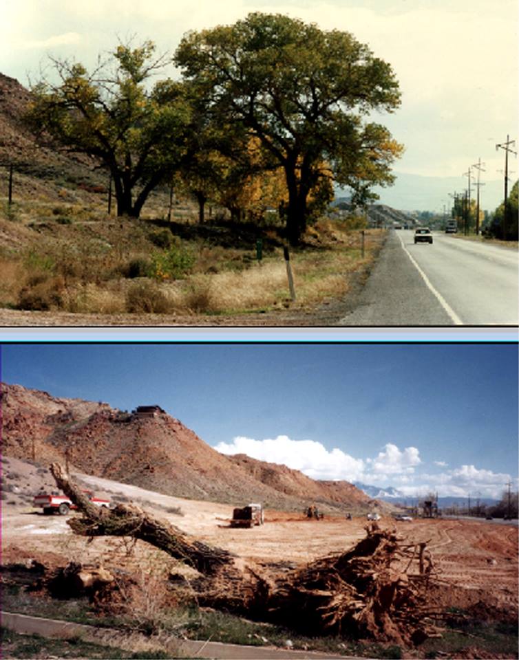 1174516_643578162333548_2093003498_n