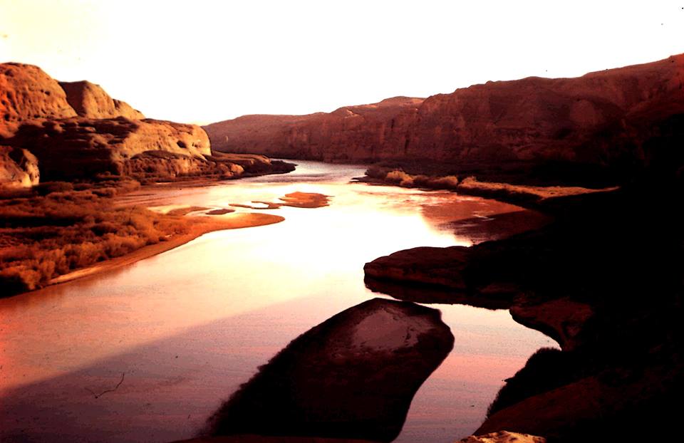 1375667_659648557393175_1128160487_n