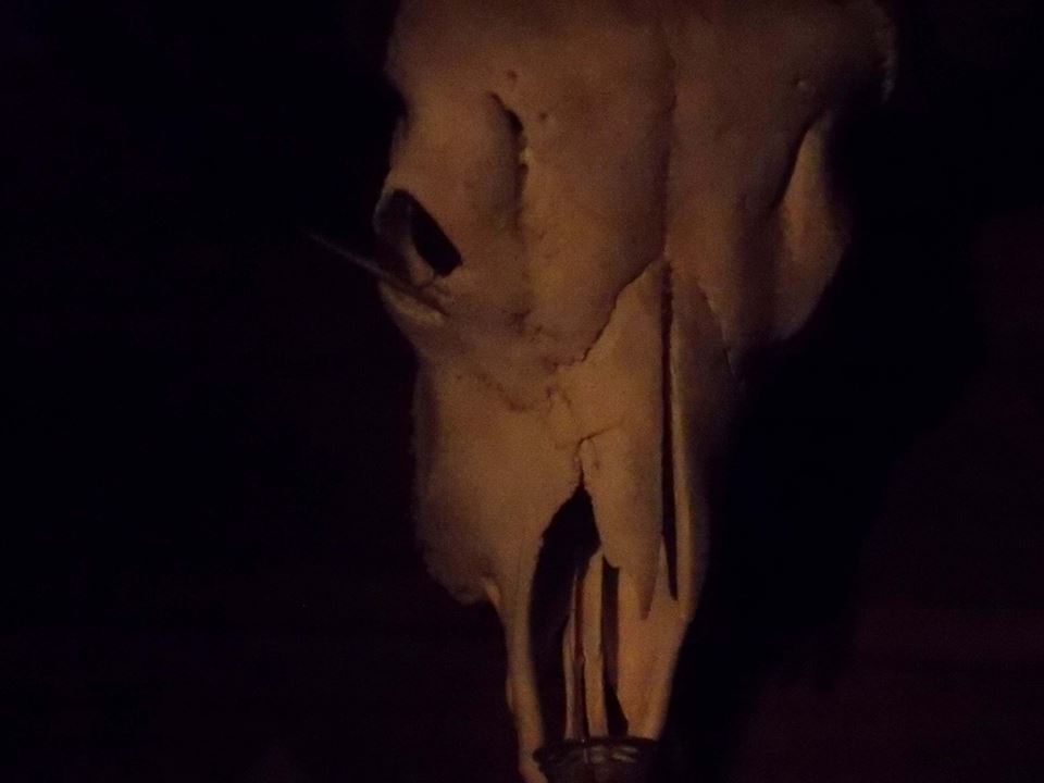 1408_636817393009625_805151109_n