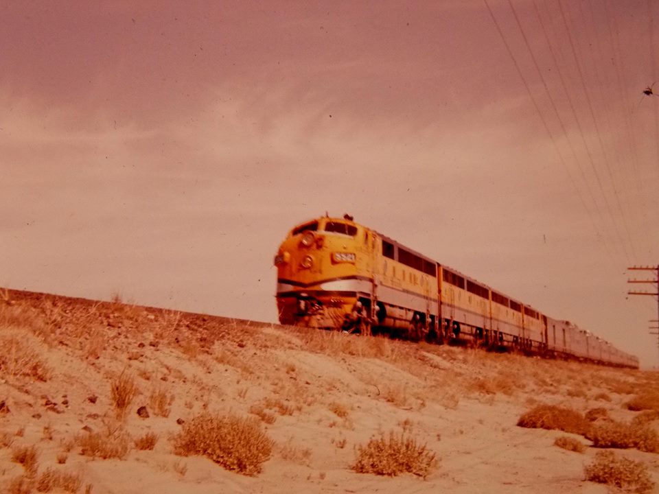 999080_630902200267811_63922043_n