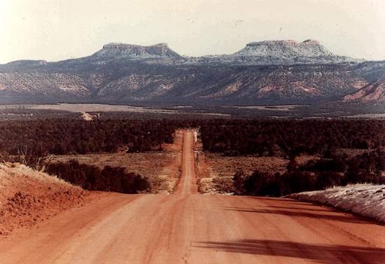 bearsears77