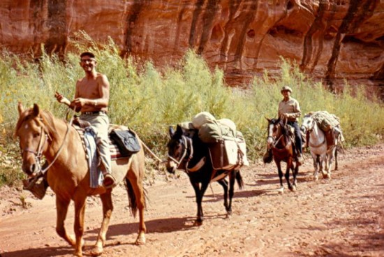 10410471_888171364540892_1523094656478706781_n