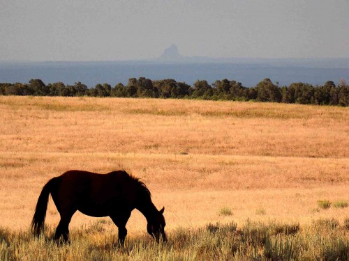 horse-shiprock2