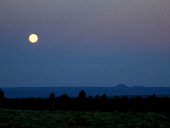 bearsears-fullmoon1