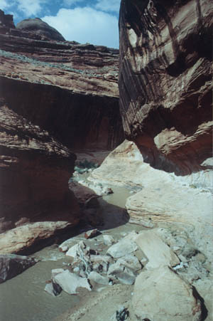 gci-18.jpg - 35012 Bytes