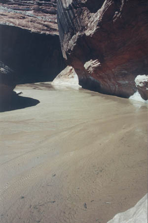 gci-21.jpg - 23091 Bytes