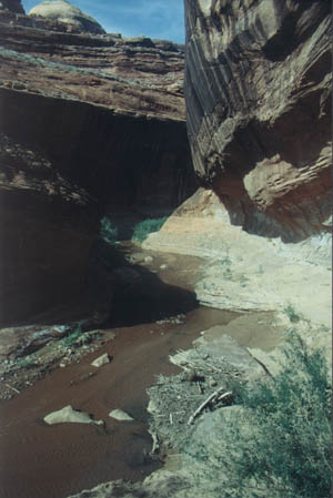 gci-28.jpg - 32755 Bytes