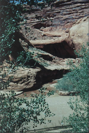 gci-47.jpg - 51877 Bytes