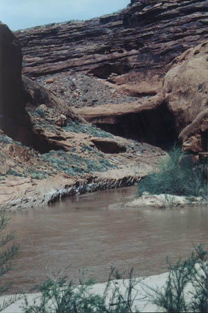 gci-50.jpg - 37603 Bytes