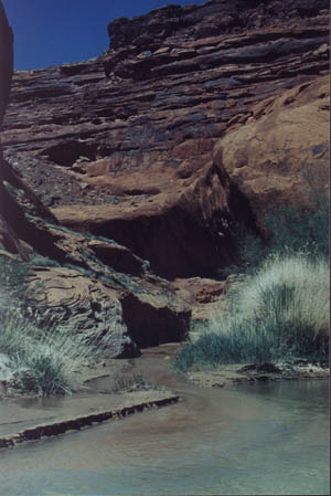 gci-52.jpg - 33854 Bytes