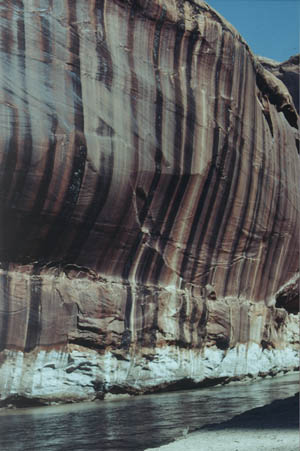 gci-55.jpg - 36835 Bytes