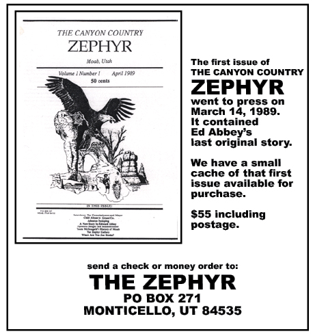 ZEPHYR-V1N1 copy