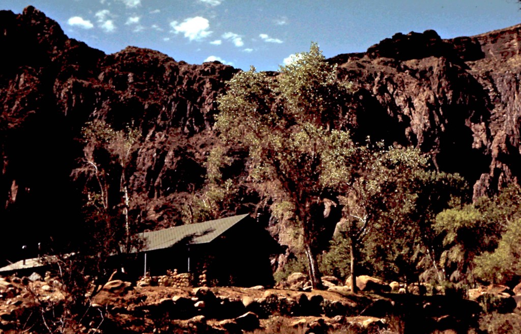PHANTOM RANCH at the bottom of the Grand Canyon.  Shorty planted the cottonwoods there.