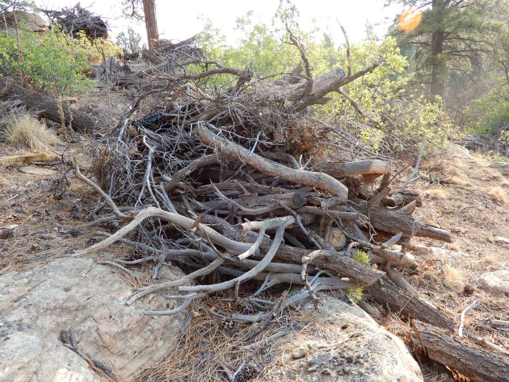 Slash pile just feet from the canyon floor.
