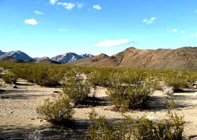 Ivanpah Valley