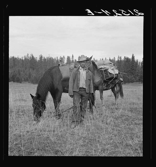 Basque sheep herder who speaks broken English coming down from summer camp with pack animals. Adams County, Idaho. photo by Dorothea Lange 1939