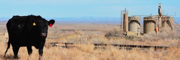 Many environmentalists (and seemingly most everyone else) are wary of the BLM and its multi-use management of public lands. This image was one of several rotating on the agency’s website that illustrates its mission. (BLM)