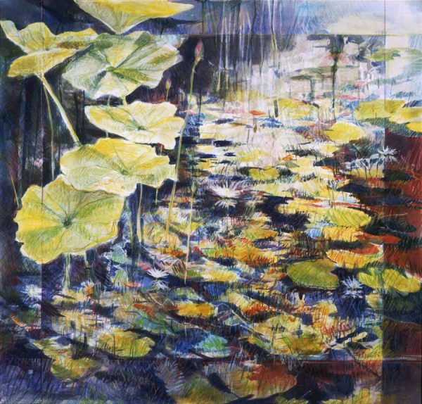 Frank Gerrietts Lily pads