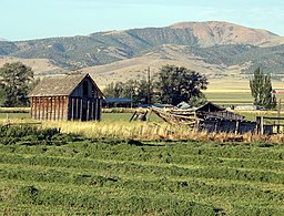 farm in Nephi Utah