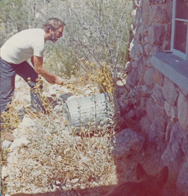Ed live-captures rattler. Why would anyone want to kill a rattler at his front door? Photo by the author. Tuscon, 1971