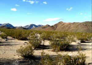 Ivanpah Valley in California, before its development