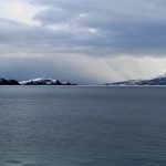 That's as far as I've gotten. Photo by Damon Falke