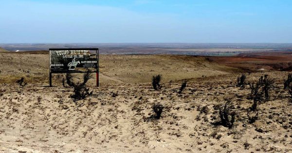 The aftermath of the 2017 wildfire season in Kansas. Photo by Jim Stiles