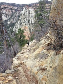 East Rim Trail, Zion National Park.