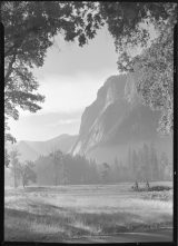 Two Sailors Bicycling Through Yosemite Valley. c/o NPS