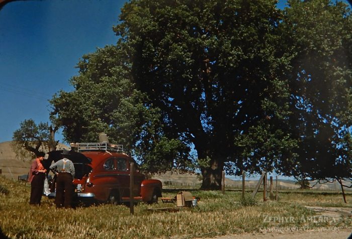 Campsite in a meadow northeast of Paso Robles, California. 1946. Photo by Herb Ringer