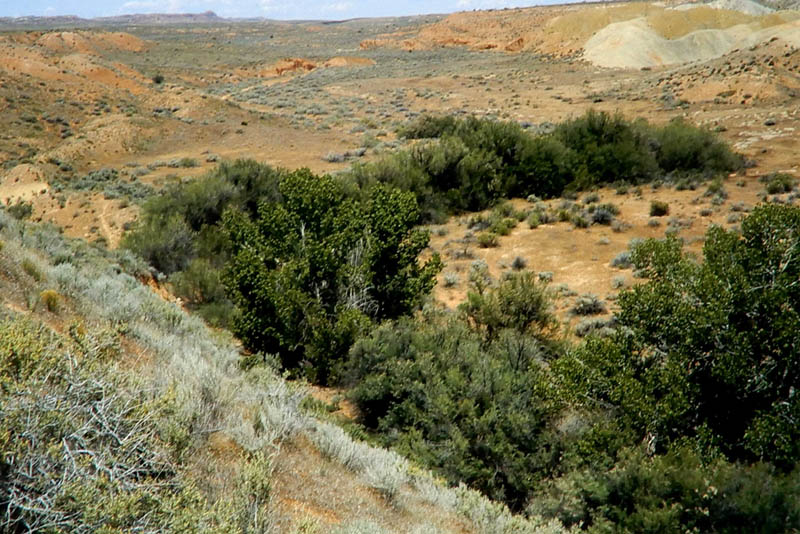 The Secret Spring area. Photo by Jim Stiles