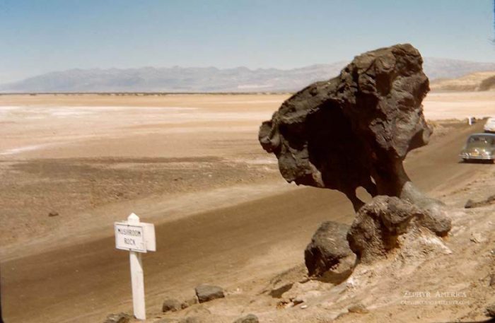 Mushroom Rock. Herb Ringer. 1947