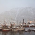 "The Port." Photo by Charlie Henry