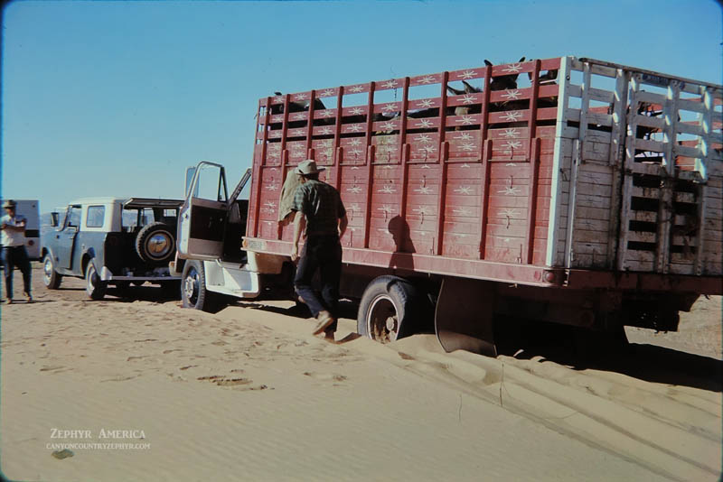 Stuck in the sand on the Hans Flat Road. MAY 1970. Photo by Edna Fridley