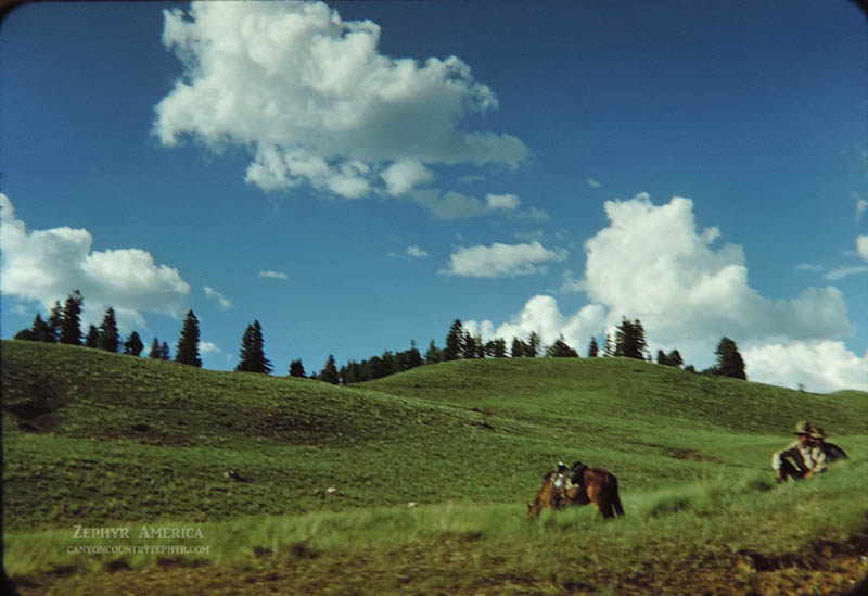 Sheepherders watching the train pass in the uplands of New Mexico. 1948. Photo by Herb Ringer