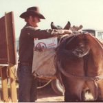 1974 Pete Steele preparing for pack trip. Mule is tied to Grand Gulch wooden sign at Kane Spring. Bears Ear butte in background. BLM photo