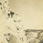 Everett Ruess was photographed high on a cliff with one of his burros. Photo from Special Collections, J. Willard Marriott Library, The University of Utah, Everett Ruess Family Photograph Collection P1194N01_01_018.