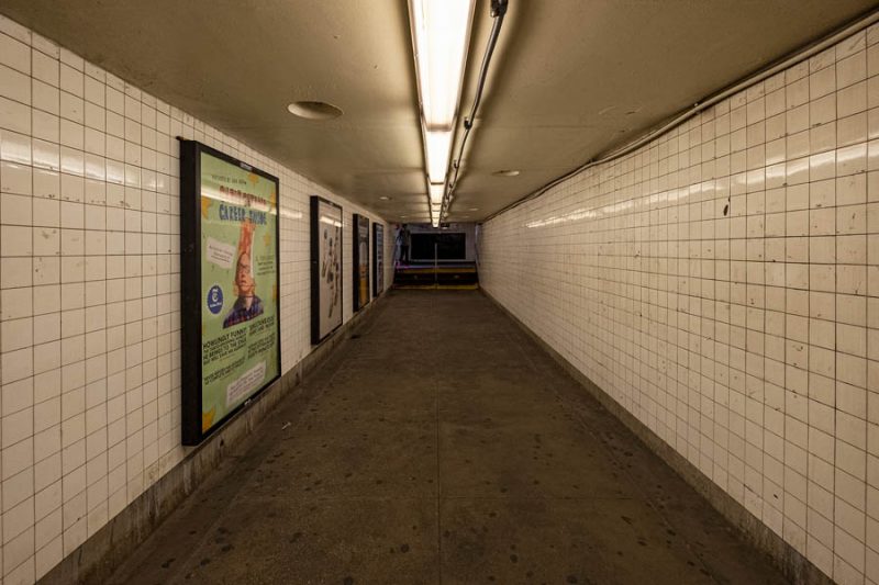 Photo by Paul Vlachos