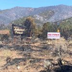 Aftermath of the Pack Creek Ranch Fire