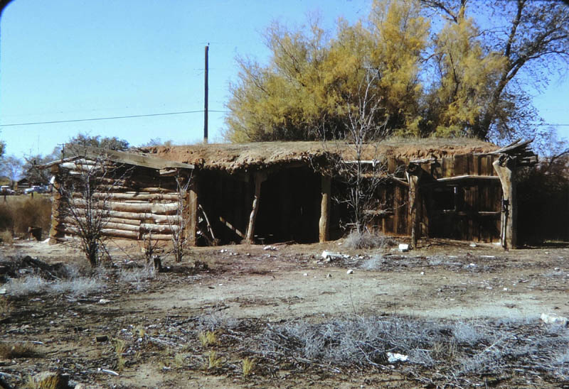 We need help on the location of this old cabin..we think it's at Pack Creek. Photo by Bill Benge. Summer 1972