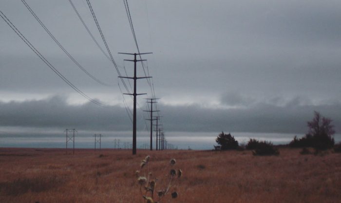 Prairie grasses. Photo by Tonya Stiles