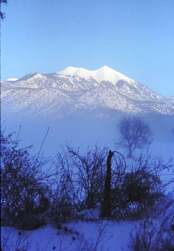 Mount Tukuhnikivatz from Pack Creek Ranch. January 1973. by Bill Benge